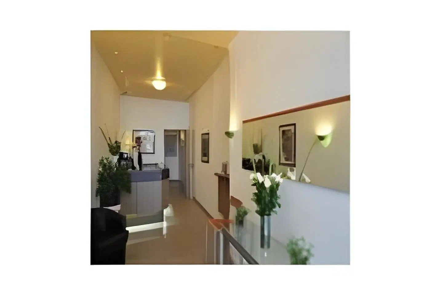 Savoy MODEL_IMPRESSION