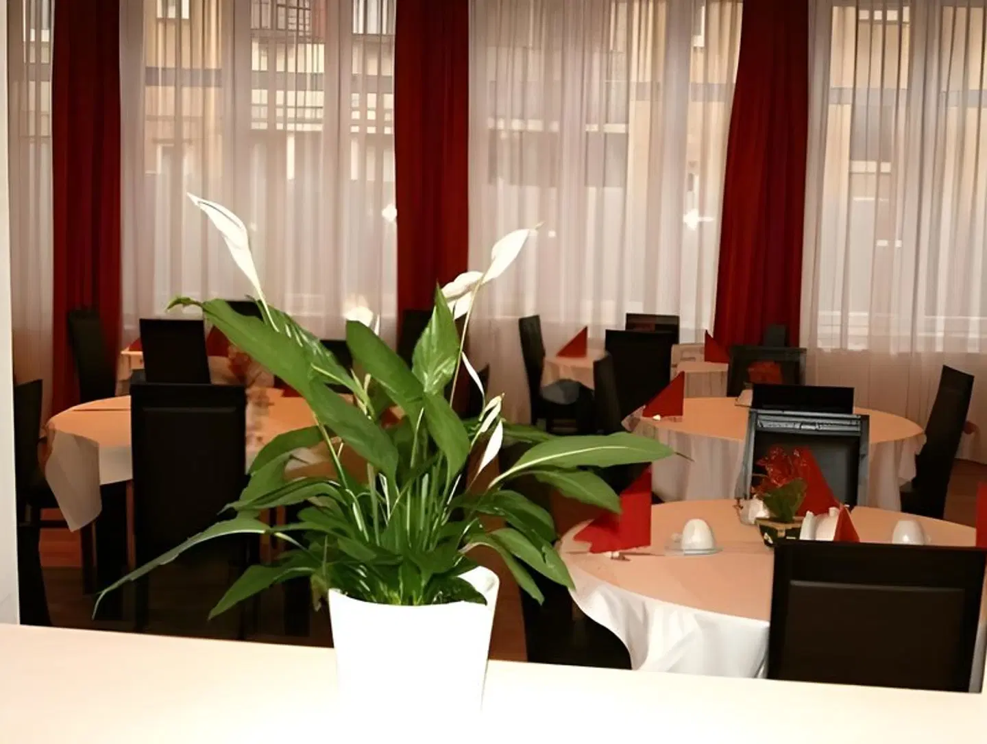 Aariana ROOM_EXAMPLE