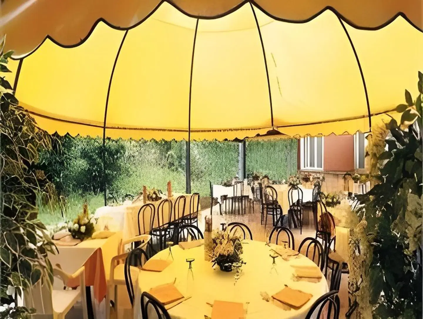 Salus Restaurant
