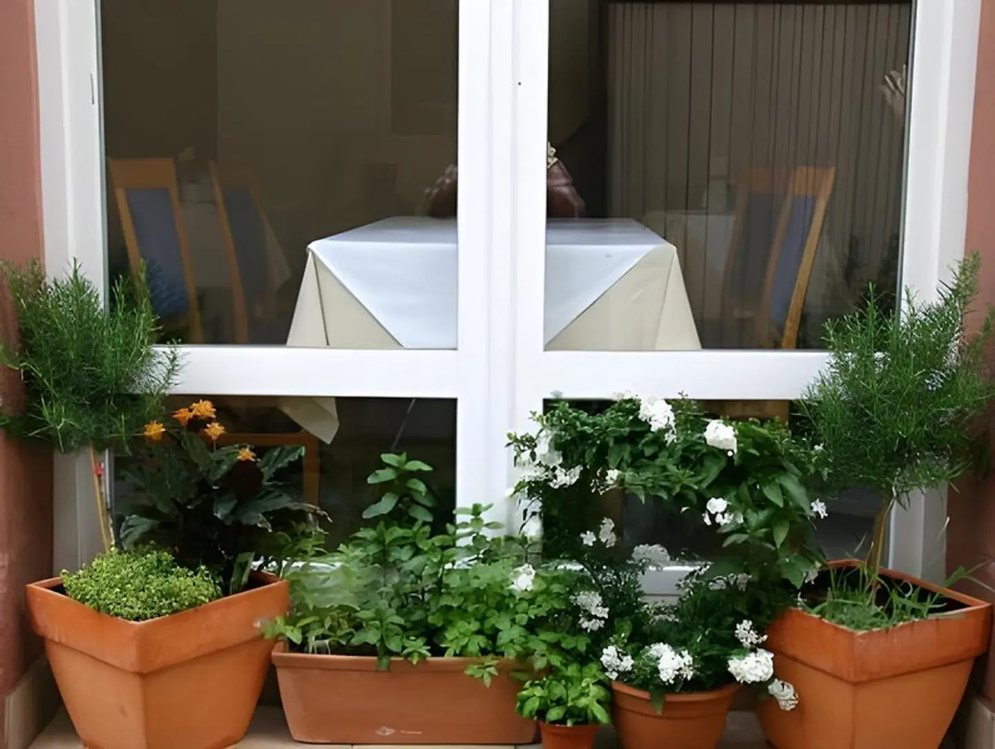 Alt Speyer Terrasse