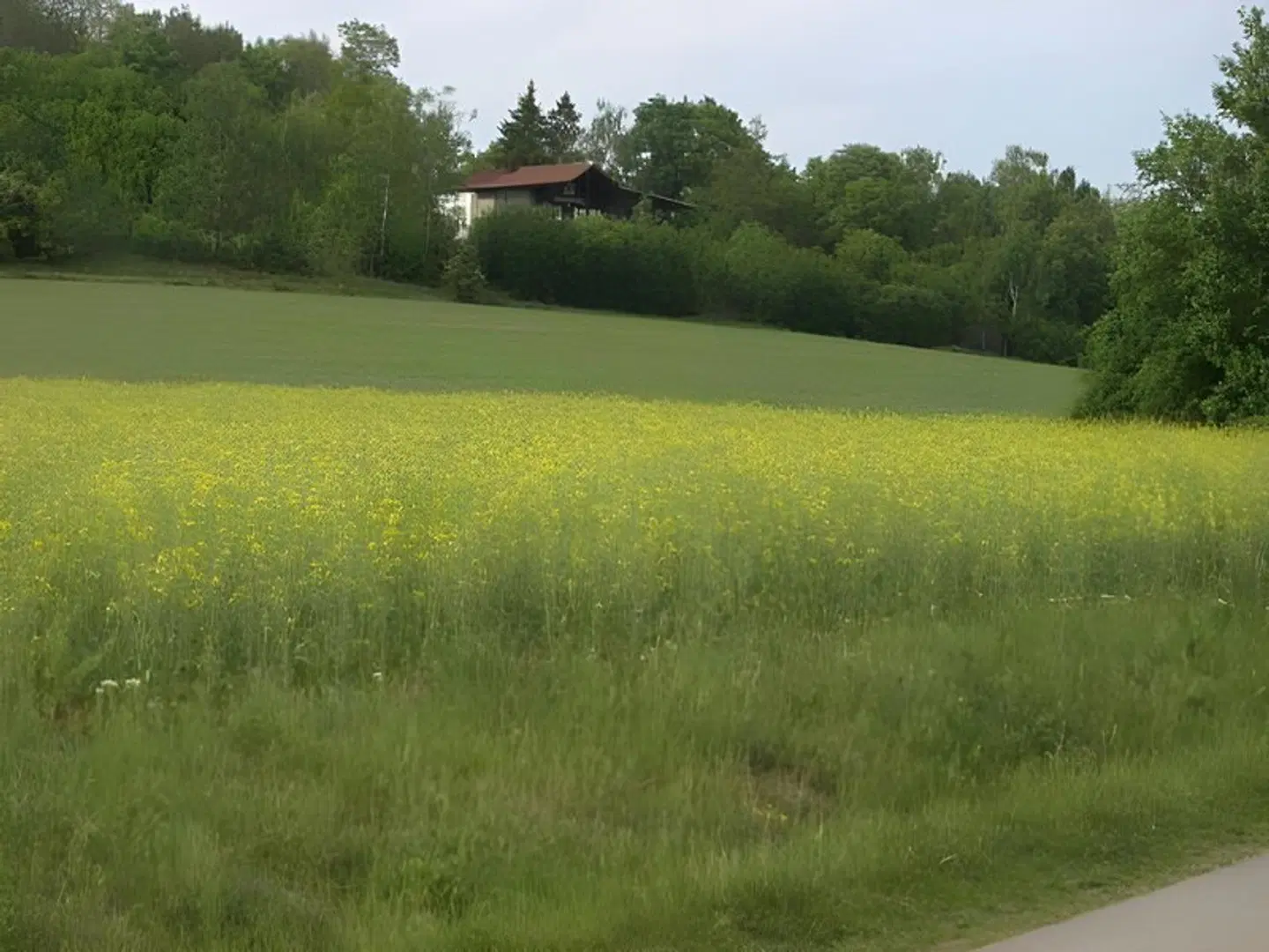 Hotel Garni Goldene Traube LANDSCAPE