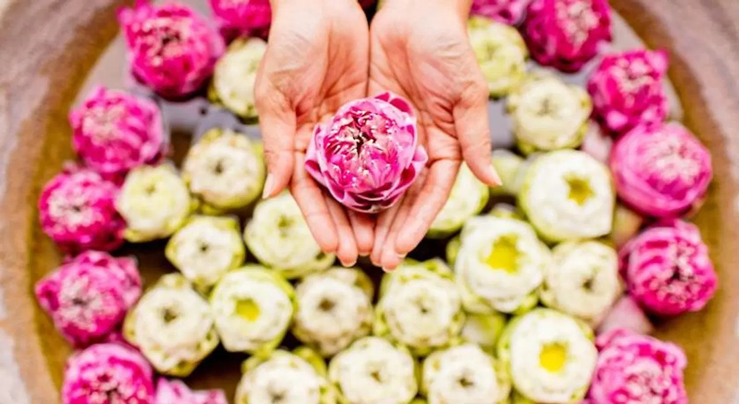 Intercontinental Pattaya Resort Tiere