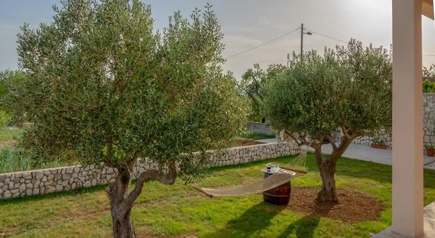 Apartments Vesna Landschaft