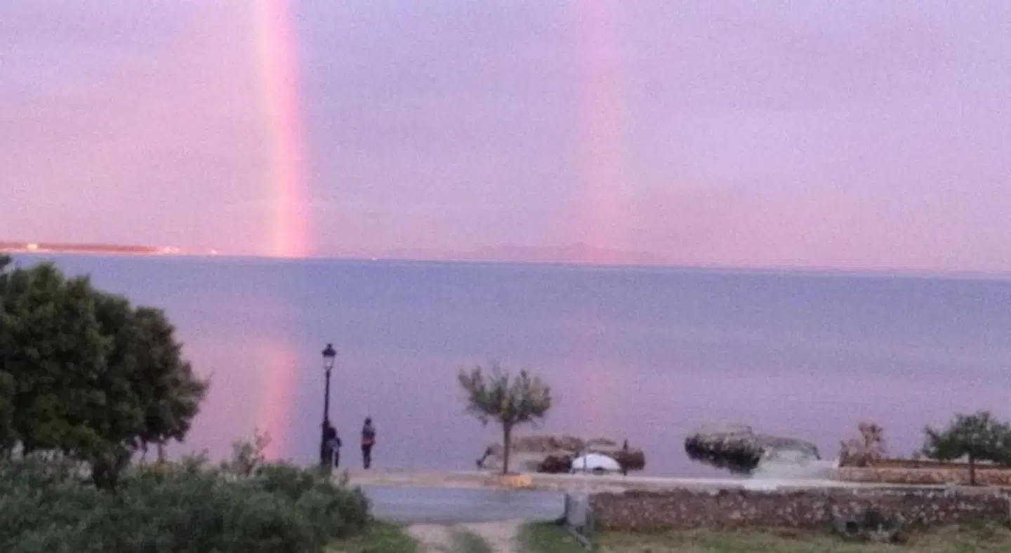 L&L Apartments LANDSCAPE