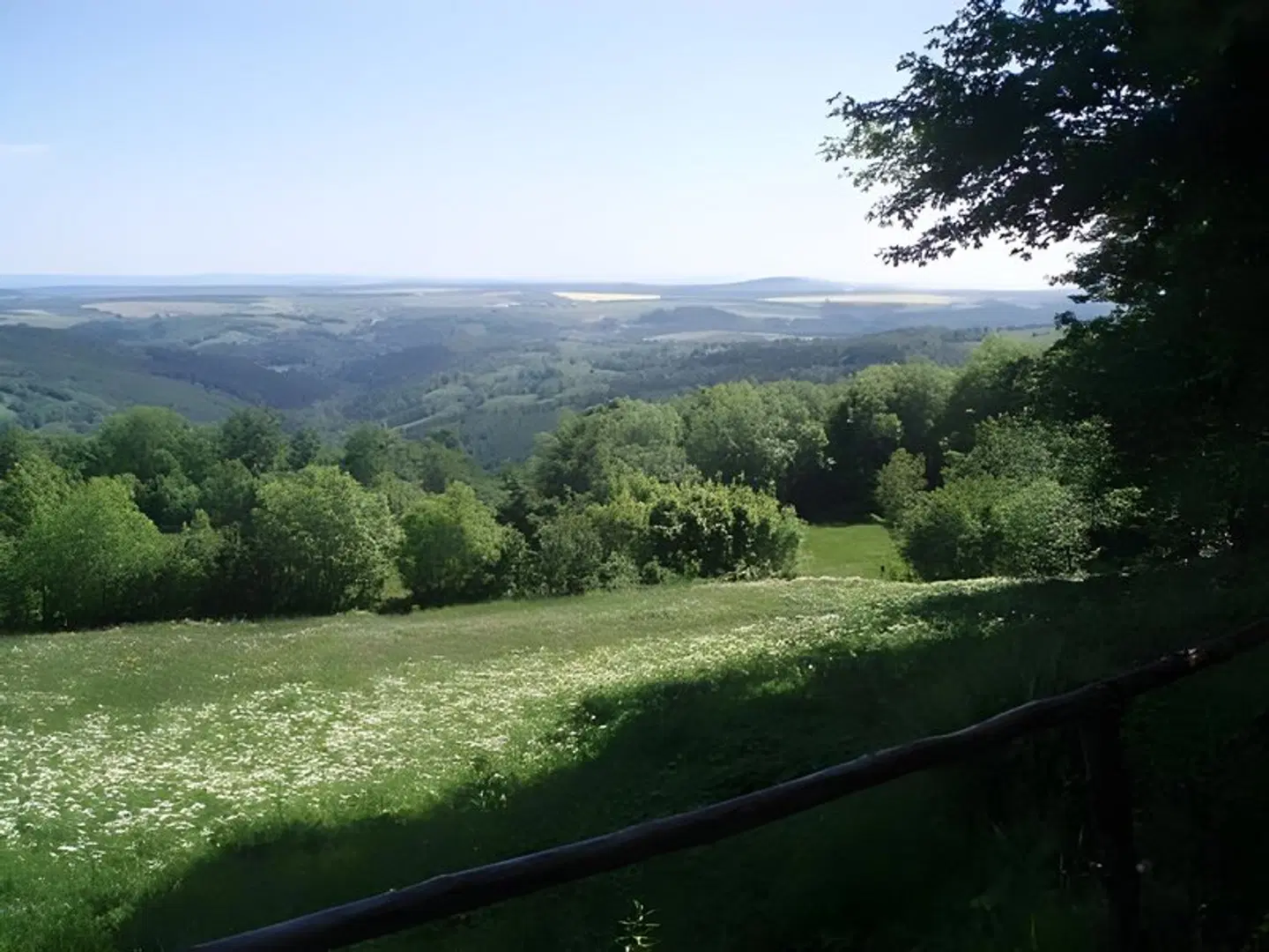 Sartor LANDSCAPE