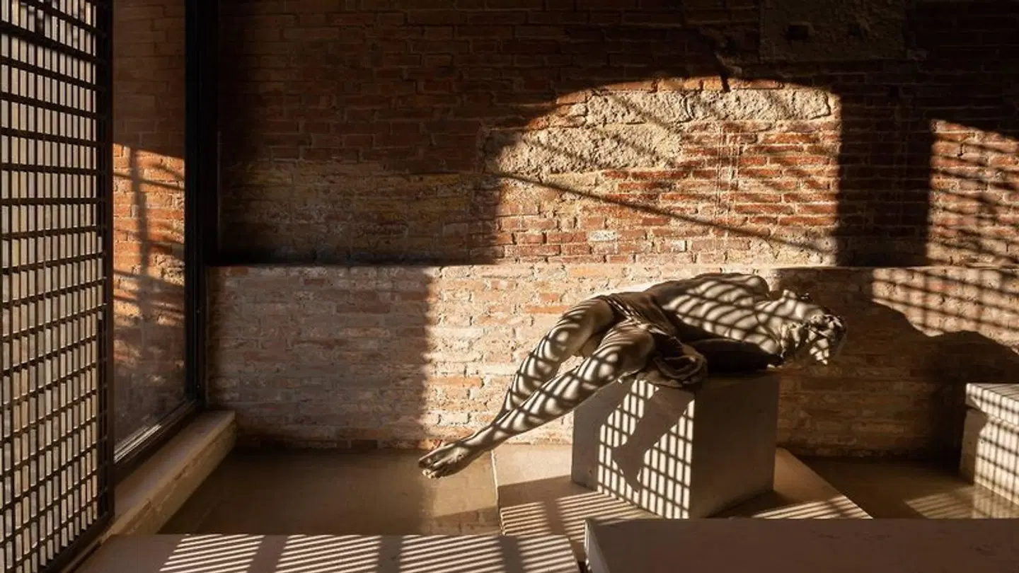 The Venice Venice Hotel Tiere