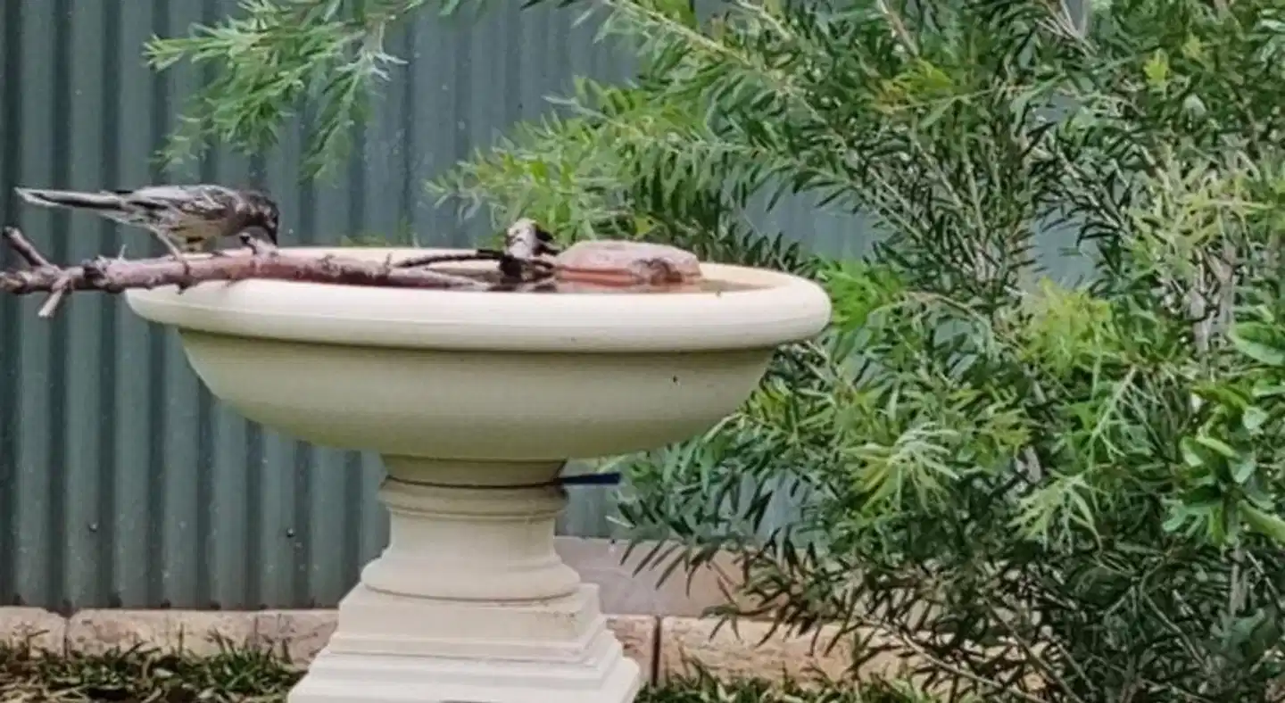 Allora House Kalgoorlie Wellness