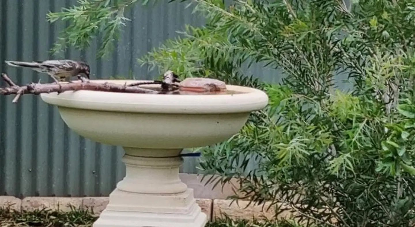 Allora House Kalgoorlie HEALTH_BEAUTY