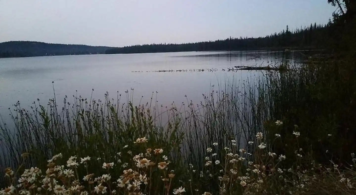 Lac Le Jeune Nature Resort Landschaft