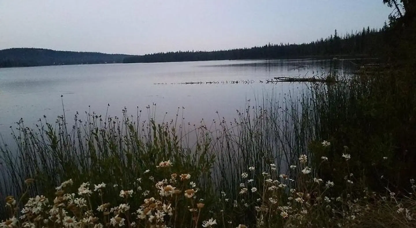 Lac Le Jeune Nature Resort LANDSCAPE
