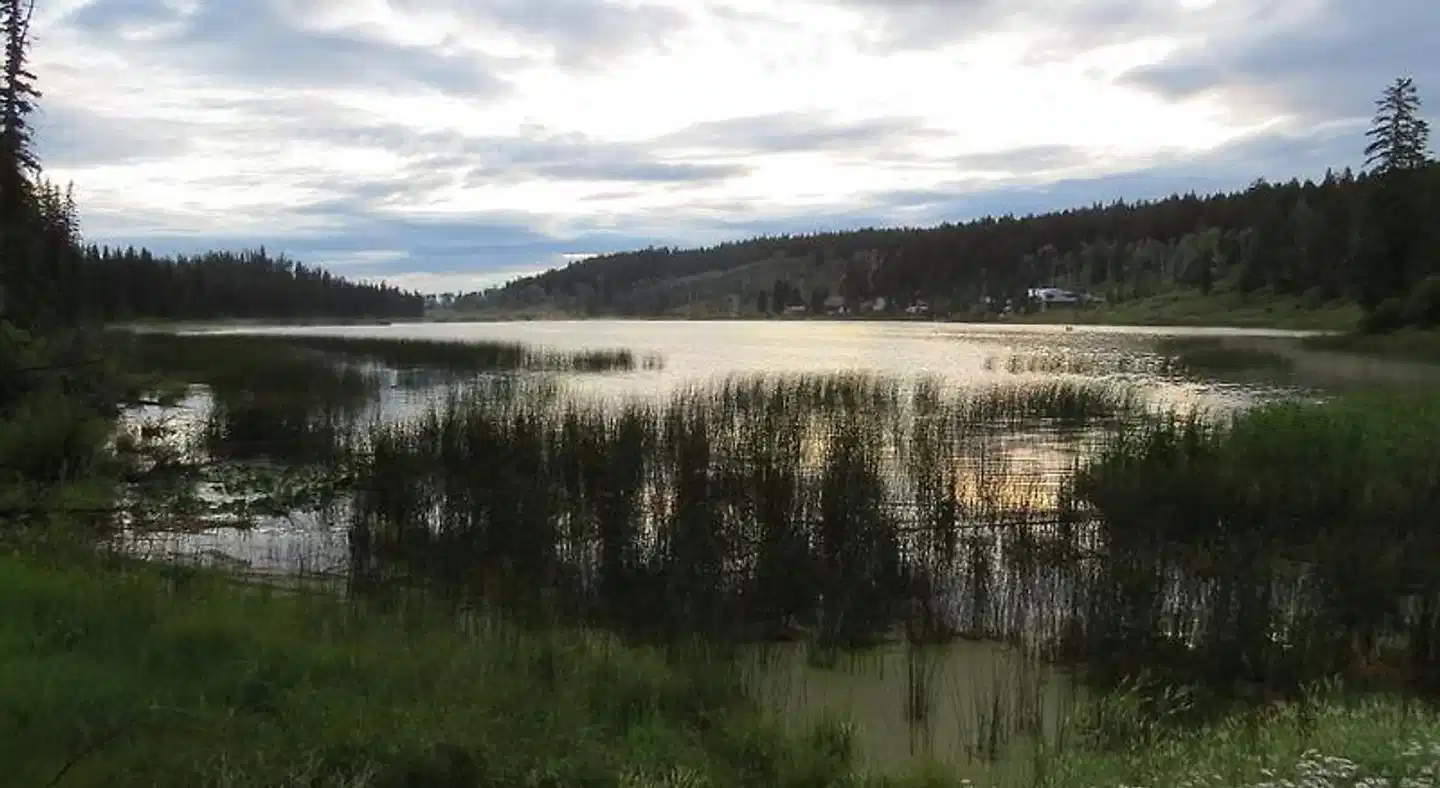 Lac Le Jeune Nature Resort Landschaft