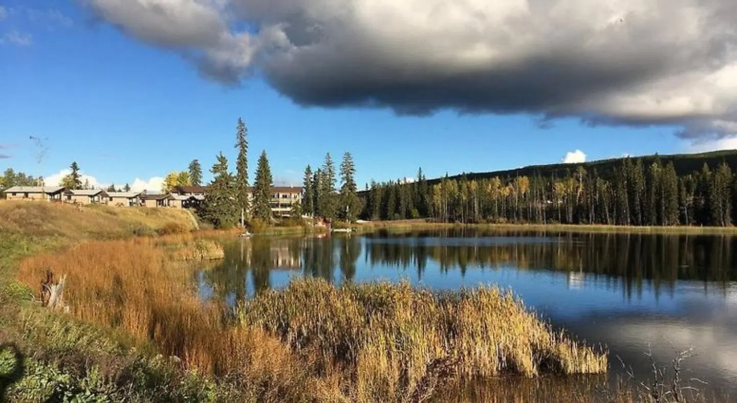 Lac Le Jeune Nature Resort LANDSCAPE