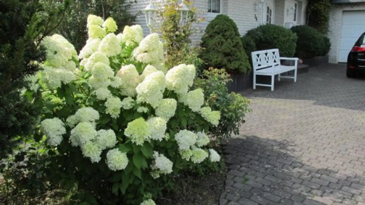 Pension Roseneck Tiere