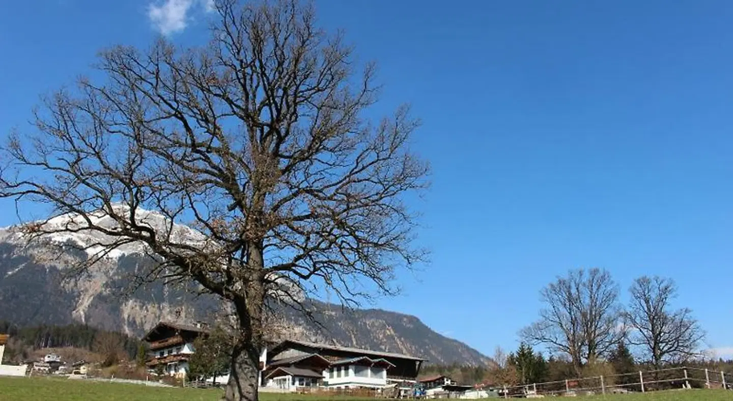 Lamplhof B&B LANDSCAPE