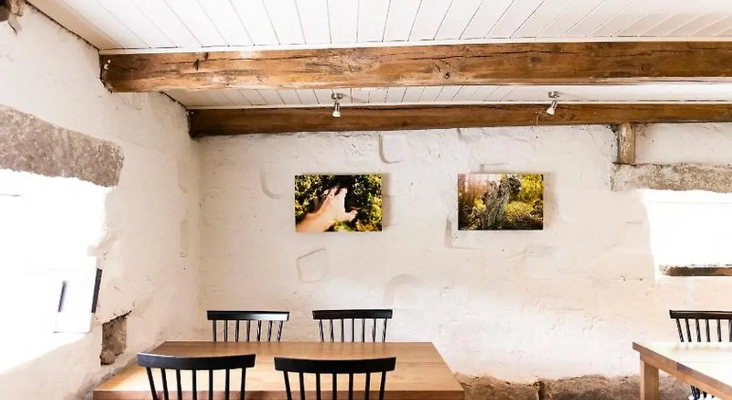 Hotel Nestor & Restaurant Back Pocket ROOM_EXAMPLE