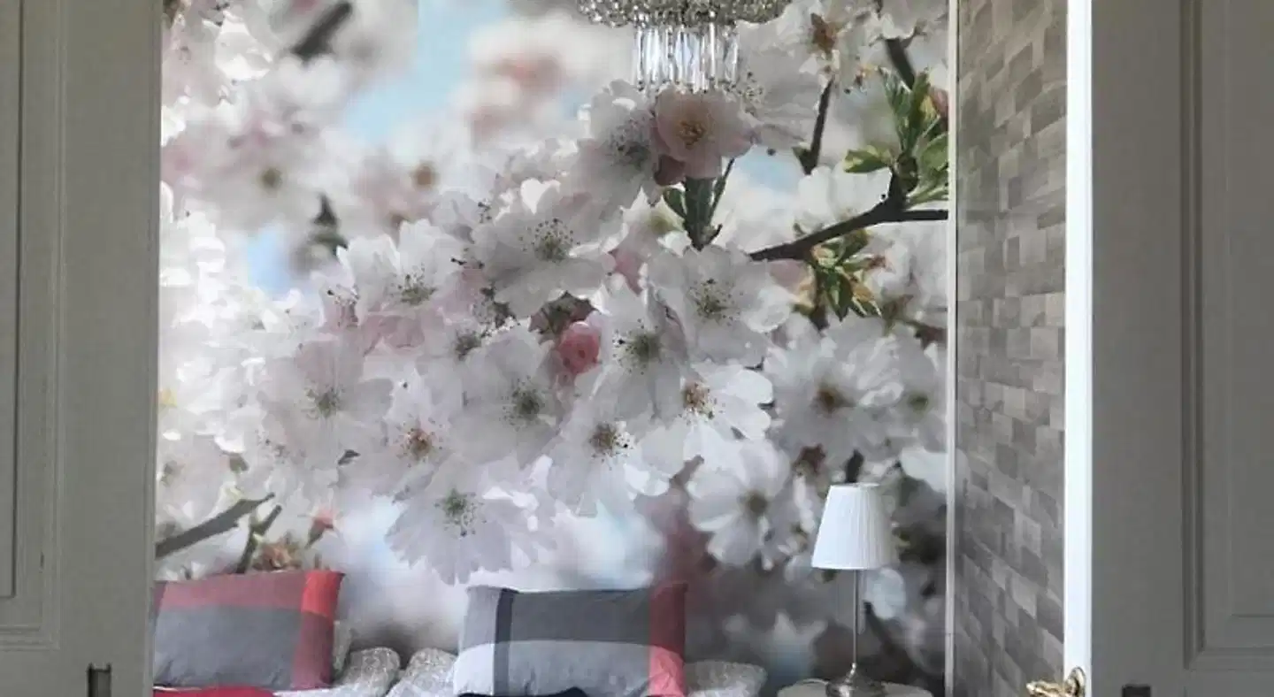 Gamla Stan Simrishamn Tiere