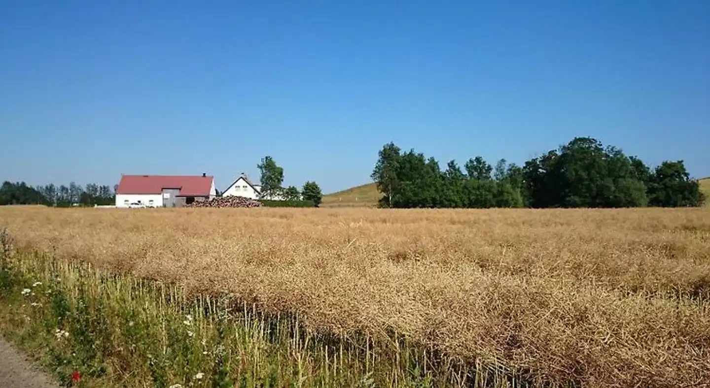 Bed & Breakfast Vinkille Landschaft
