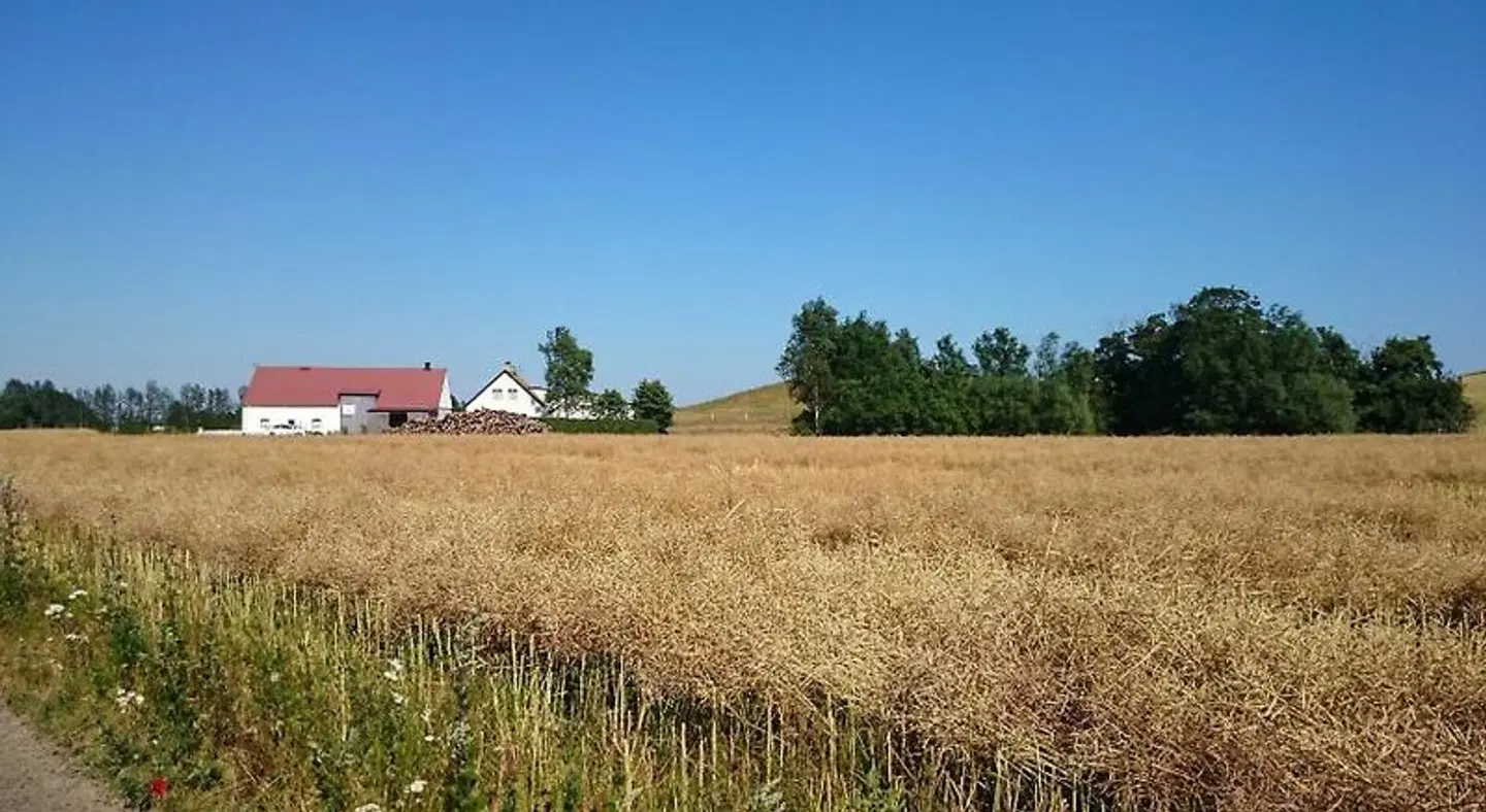 Bed & Breakfast Vinkille Landschaft