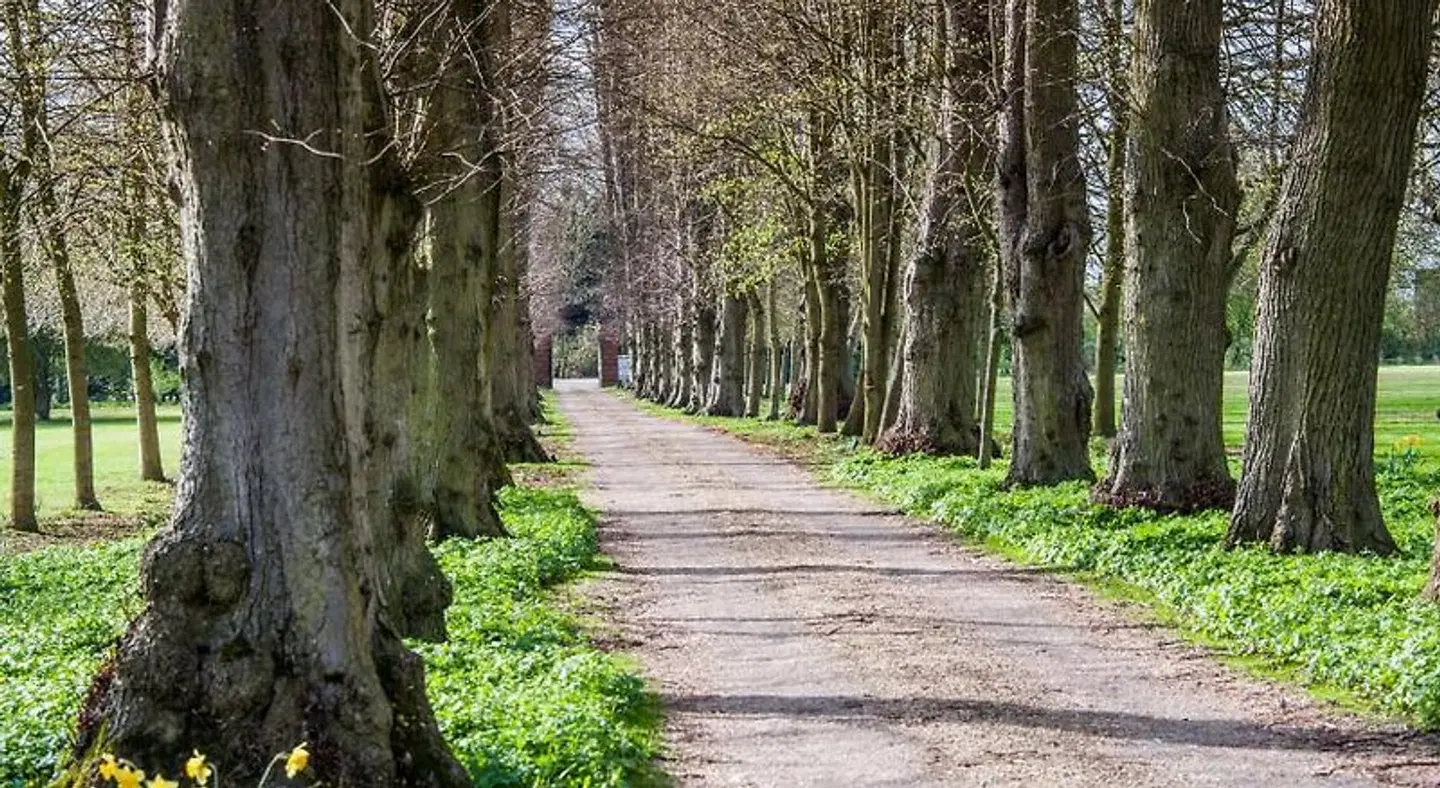 The Oaksmere Garten