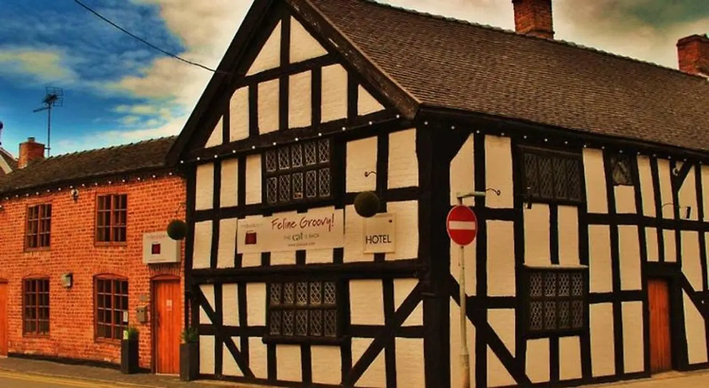 Cheshire Cat SPORTS_AND_LEISURE