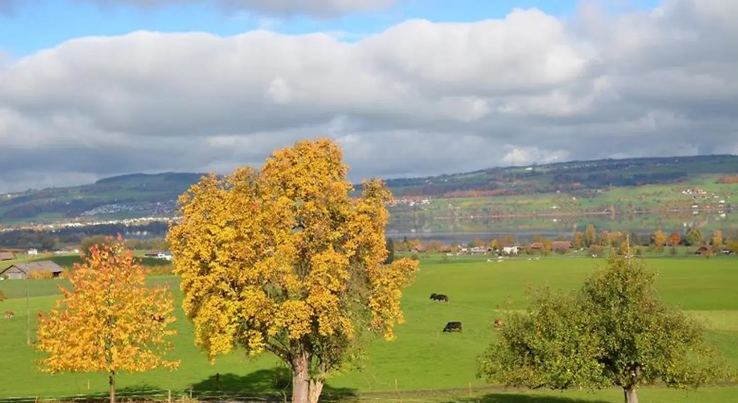 B&B Friedau LANDSCAPE