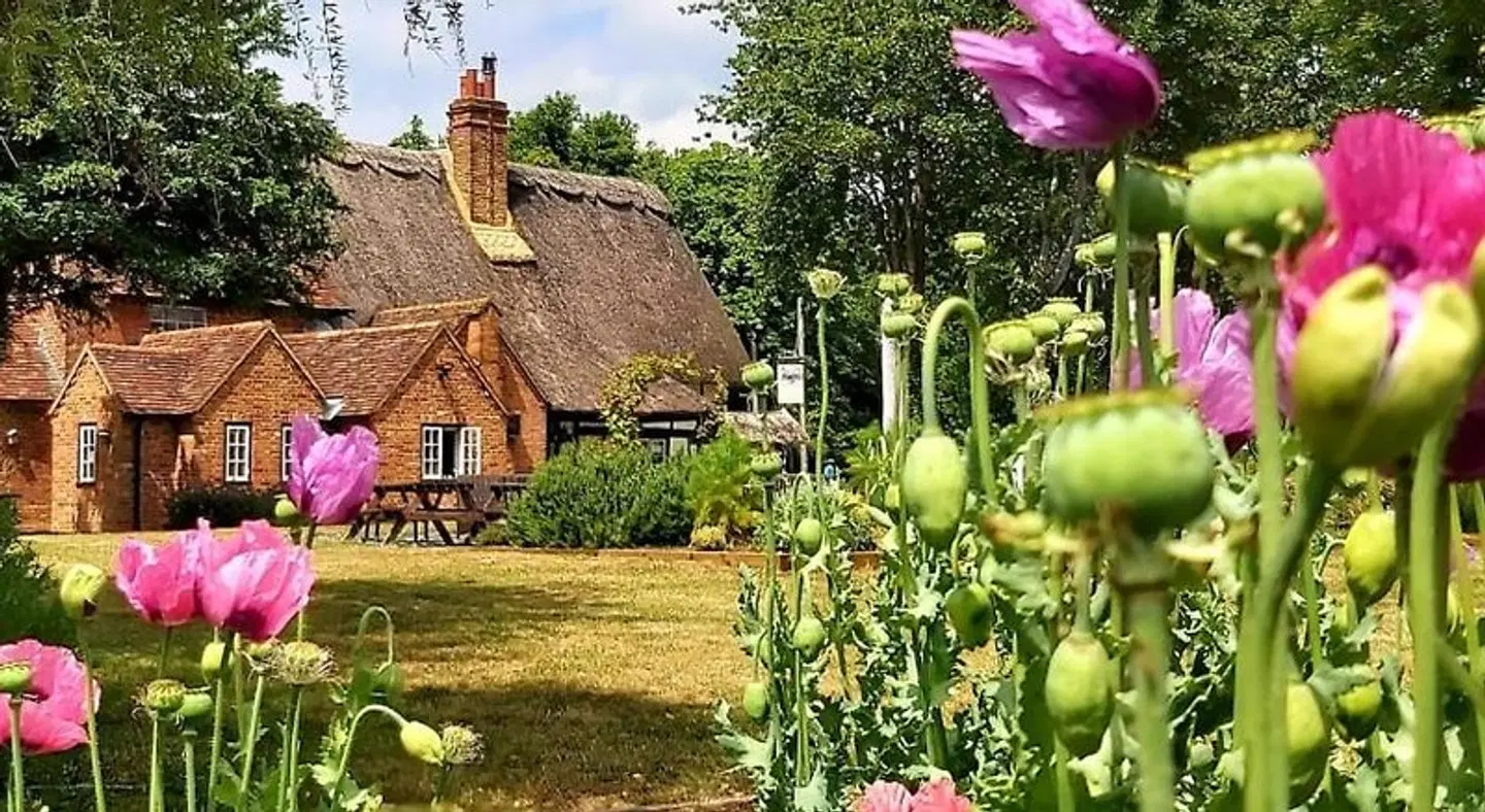 Clifden Arms Apartments Garten