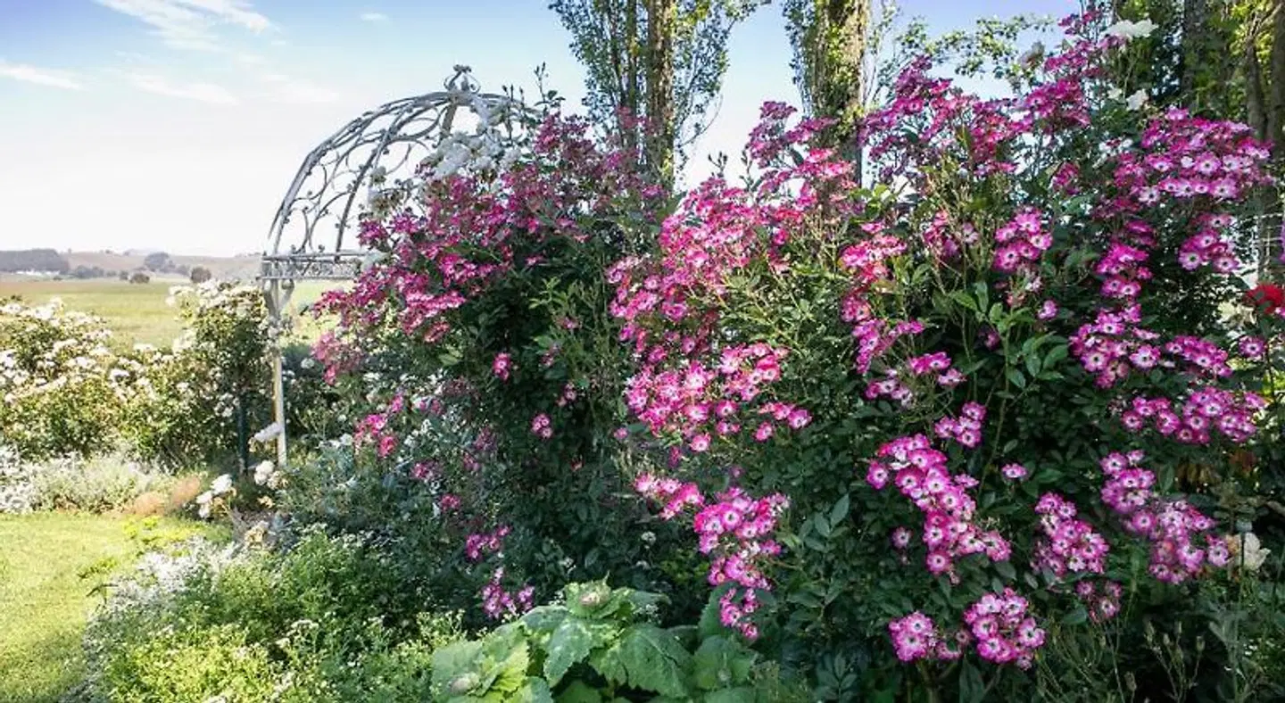 Chikanka Garten