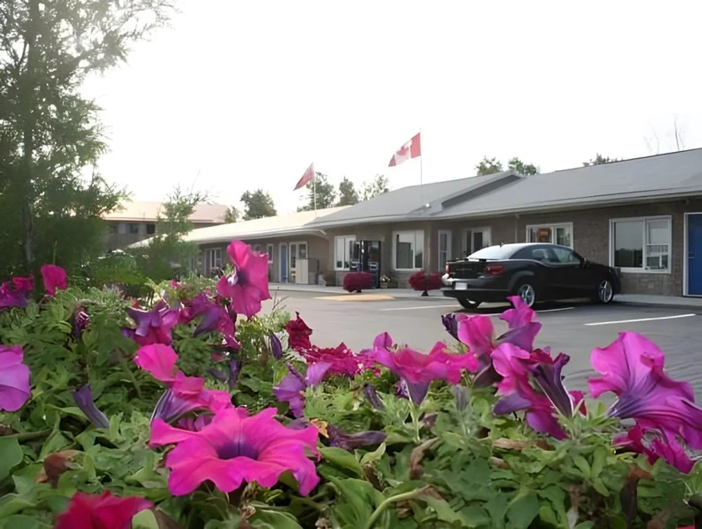 Moonlight Inn & Suites EXTERIOR
