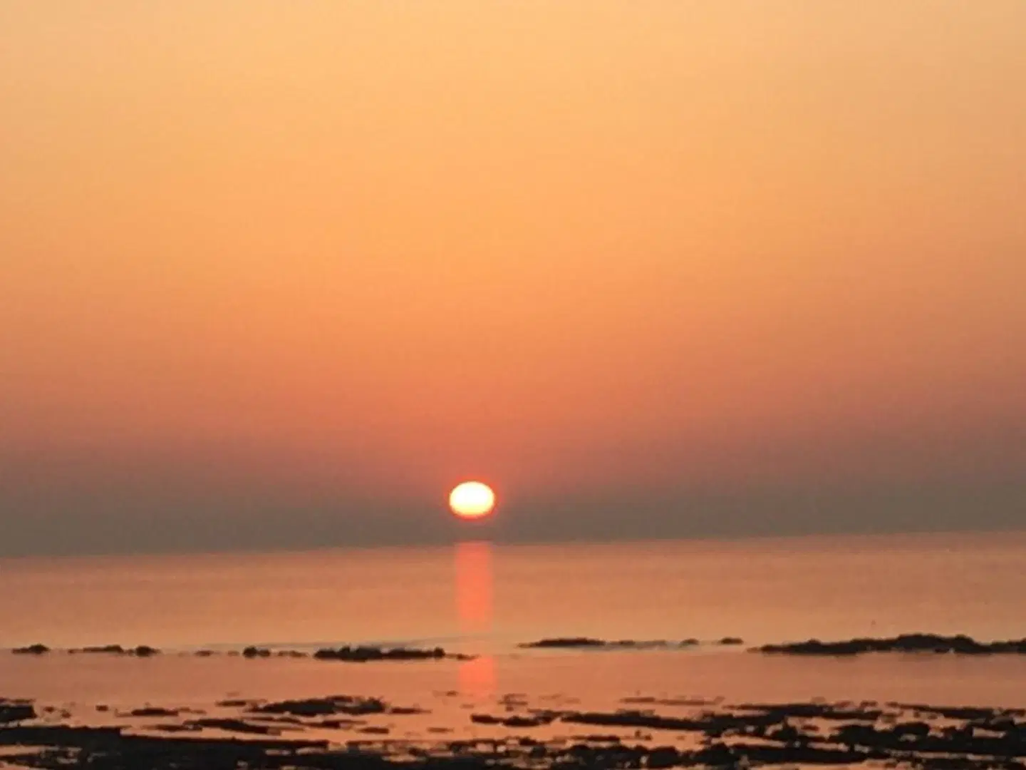 The Halcyon Strand
