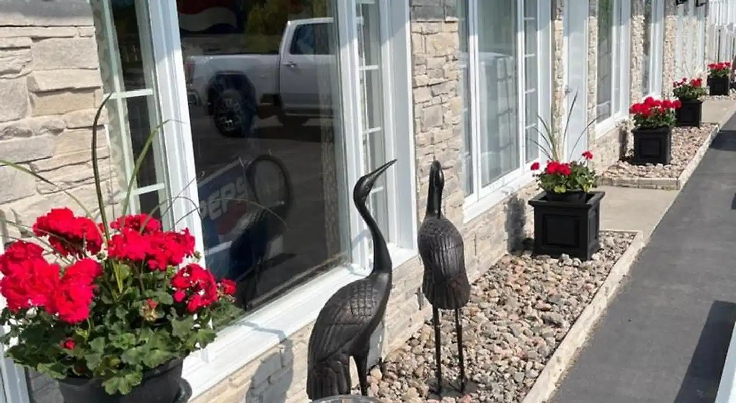 Motel Vue Belvédère Tiere