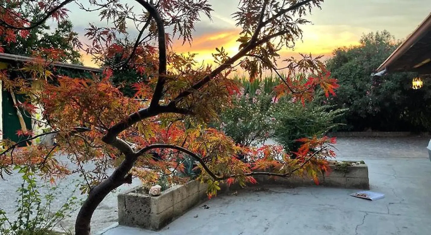 La Cascina di Alice Garten