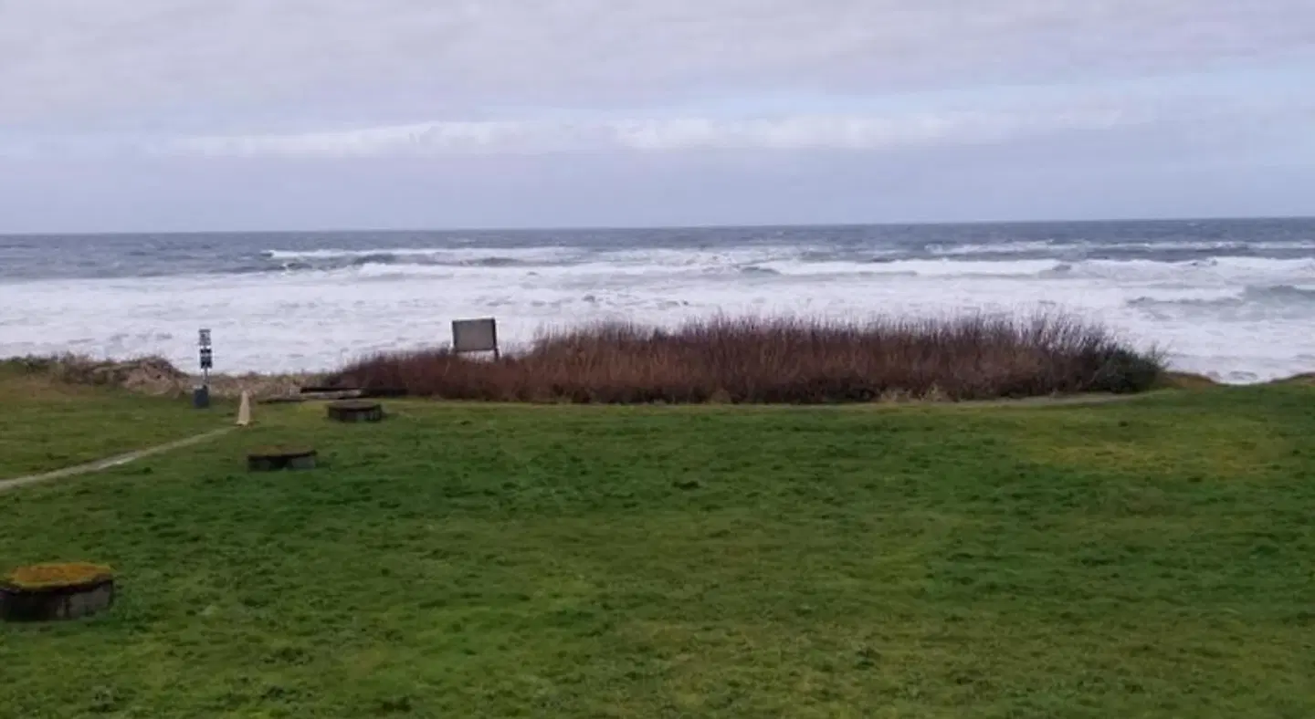 Silver Surf Motel Tiere