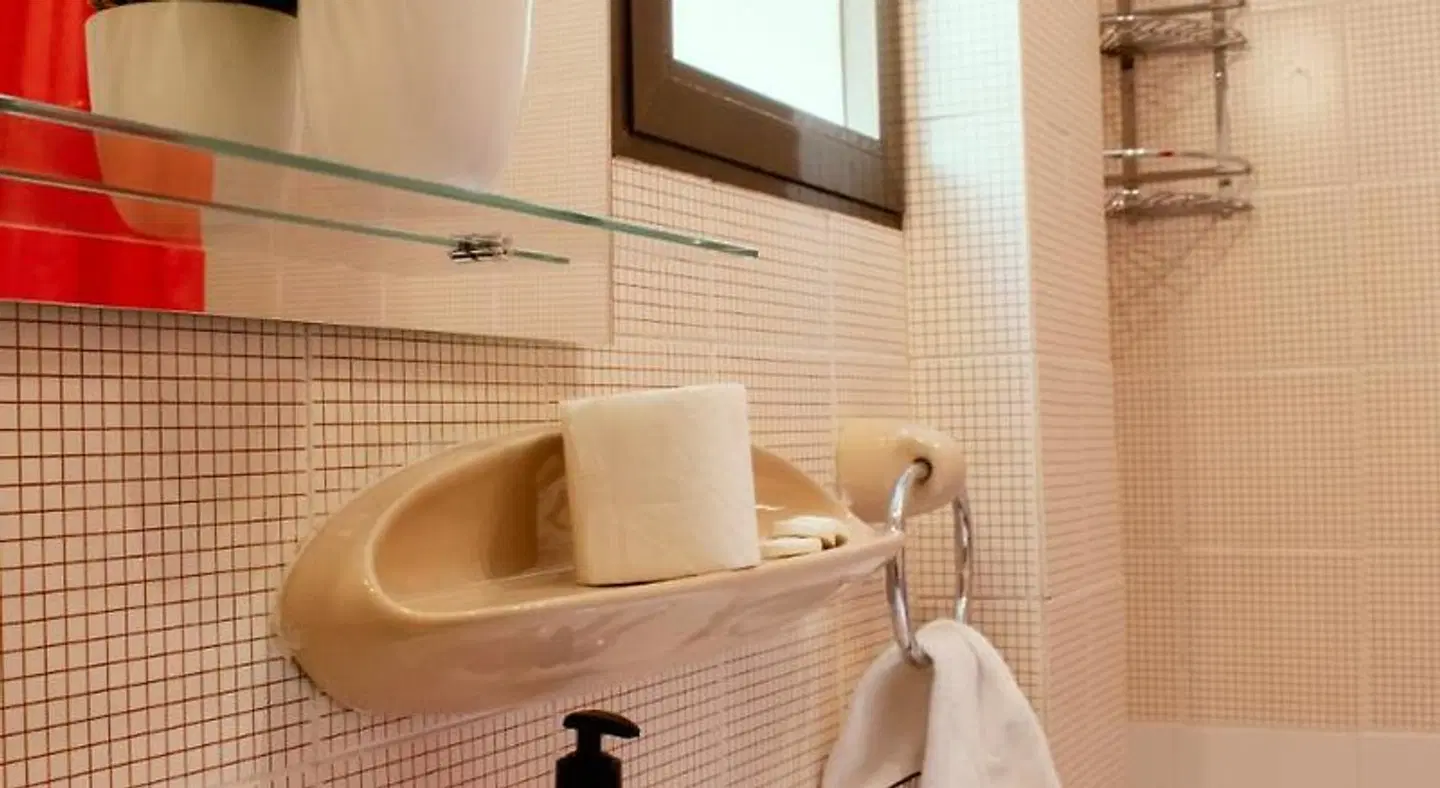 Apartamentos Sleeping in Madrid Badezimmer