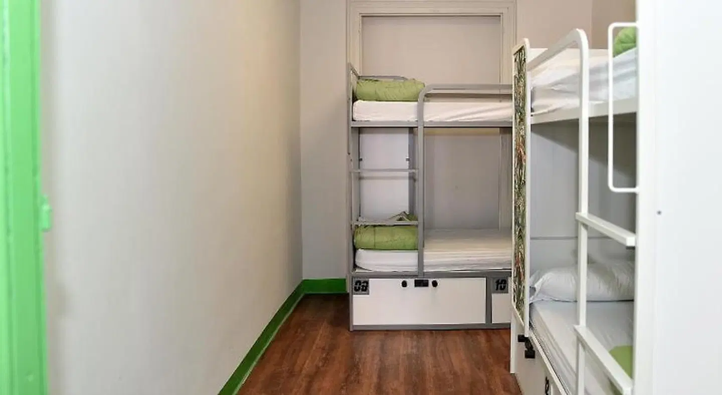 Living Cat's Hostel ROOM_EXAMPLE