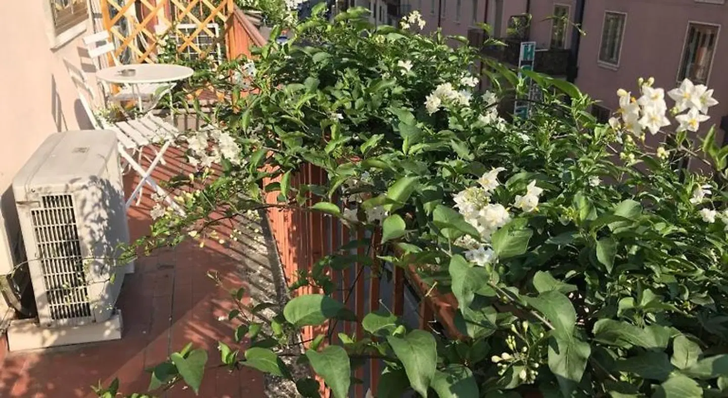 Fleur Blanche Garten