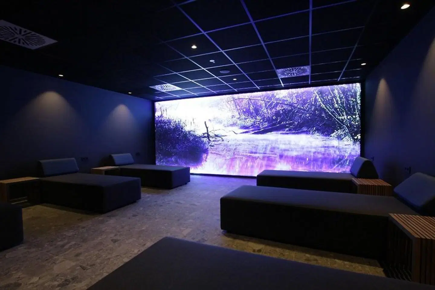 Hotel Stadt Breisach LOUNGE_LOBBY