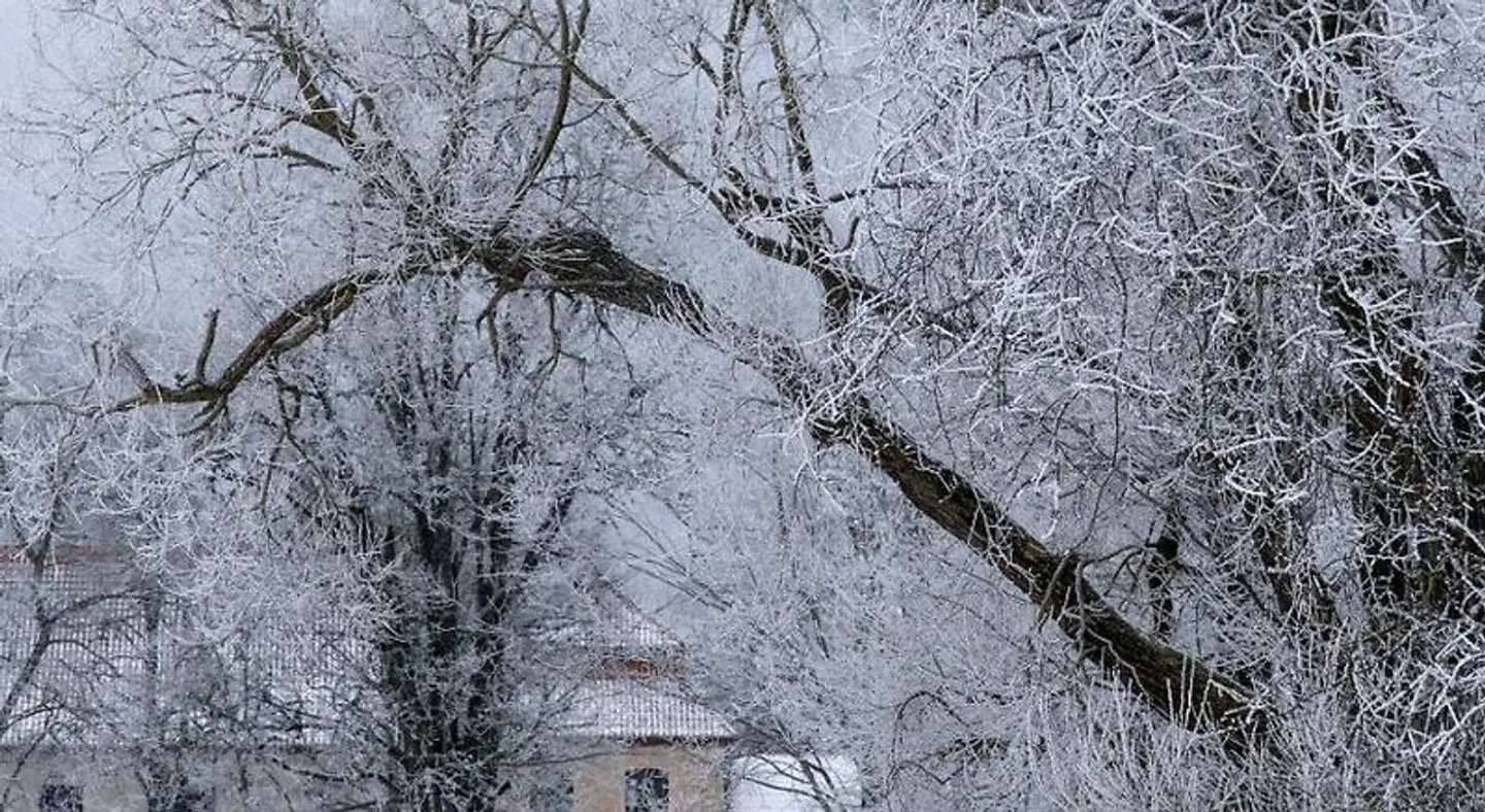 Slokenbekas Muiza LANDSCAPE