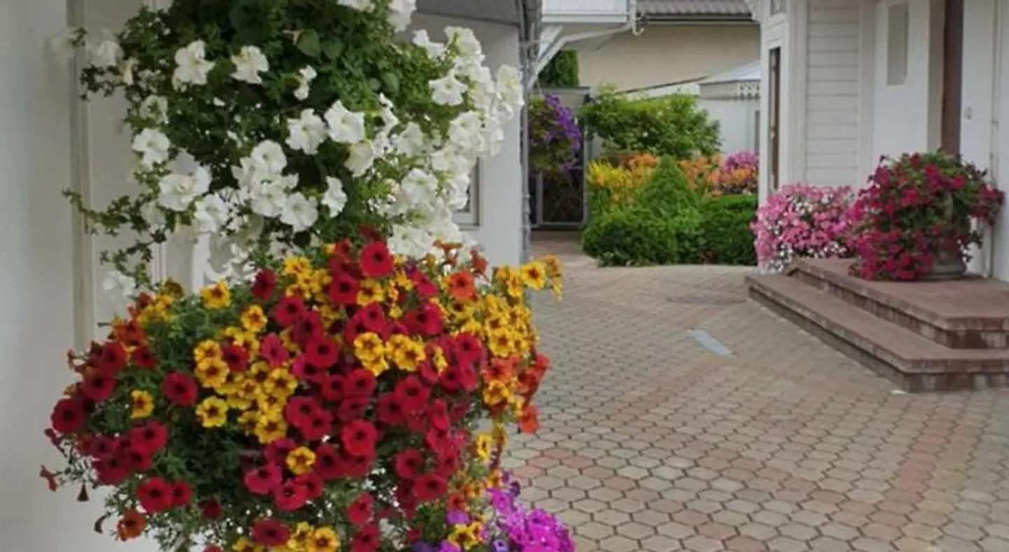 Naiza Guesthouse and Apartments Terrasse