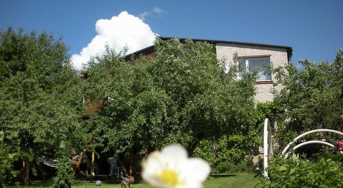 Rasas Garten