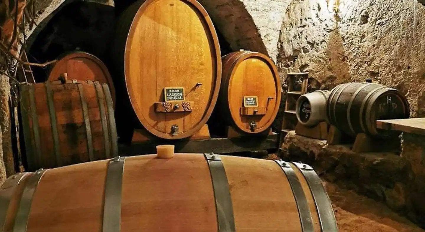 Chasa de Capol - Historische Gaststatte & Weinkellerei Sport und Entertainment