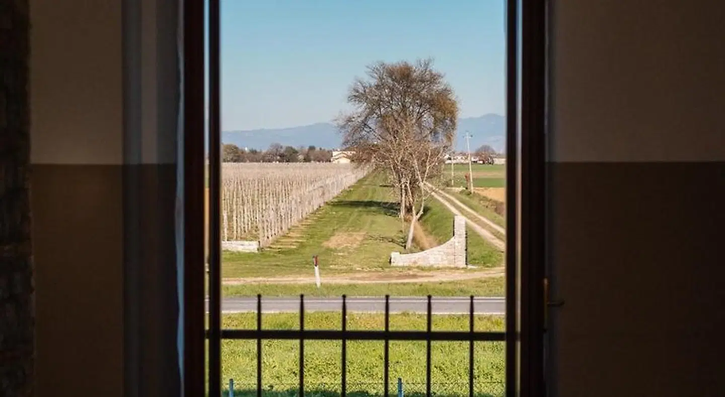 Agriturismo Mulino Delle Tolle Terrasse