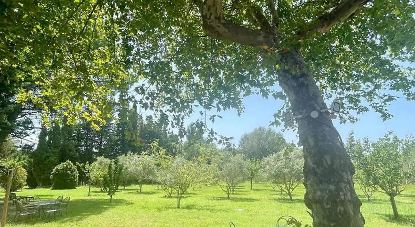 Domaine Au Coeur des Alpilles LANDSCAPE