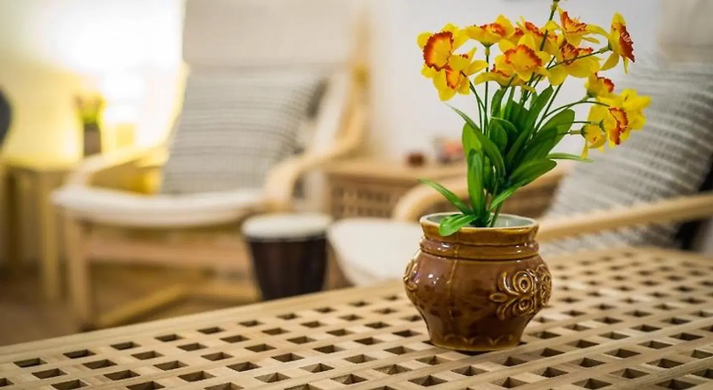 Pijama Hostel LOUNGE_LOBBY