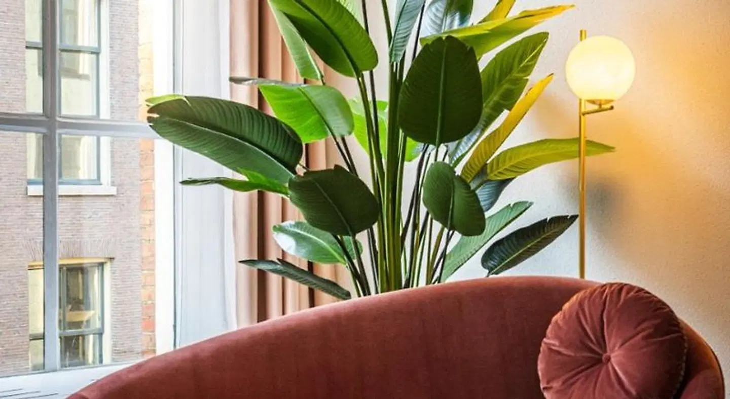 Hotel Halbert Garten