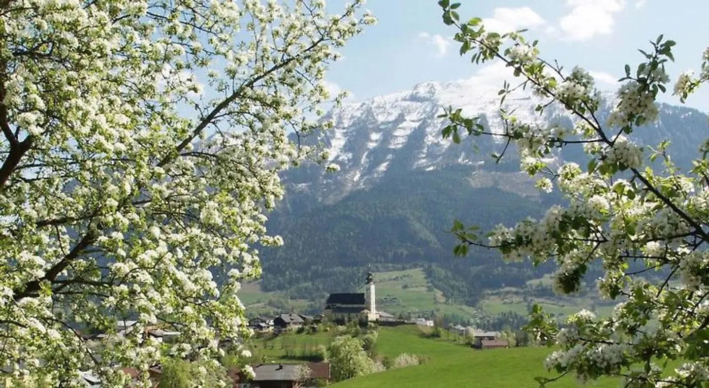 Hotel Silberfux LANDSCAPE