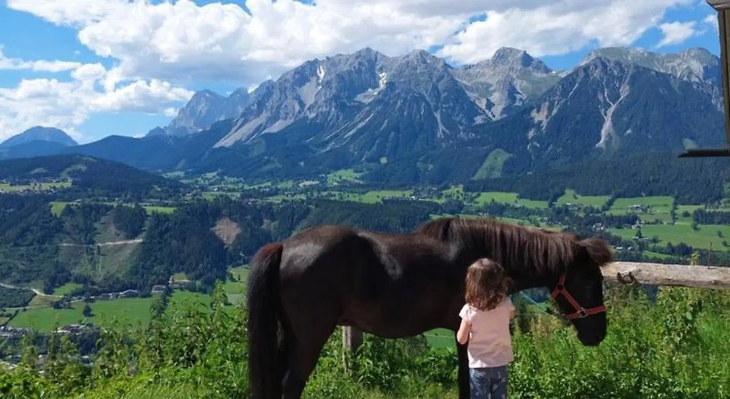 Schröckerhof Tiere