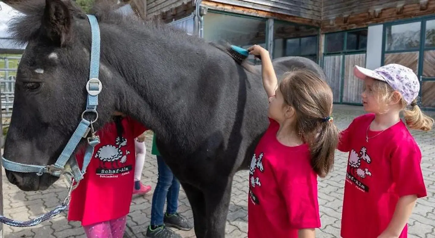 Schröckerhof Tiere