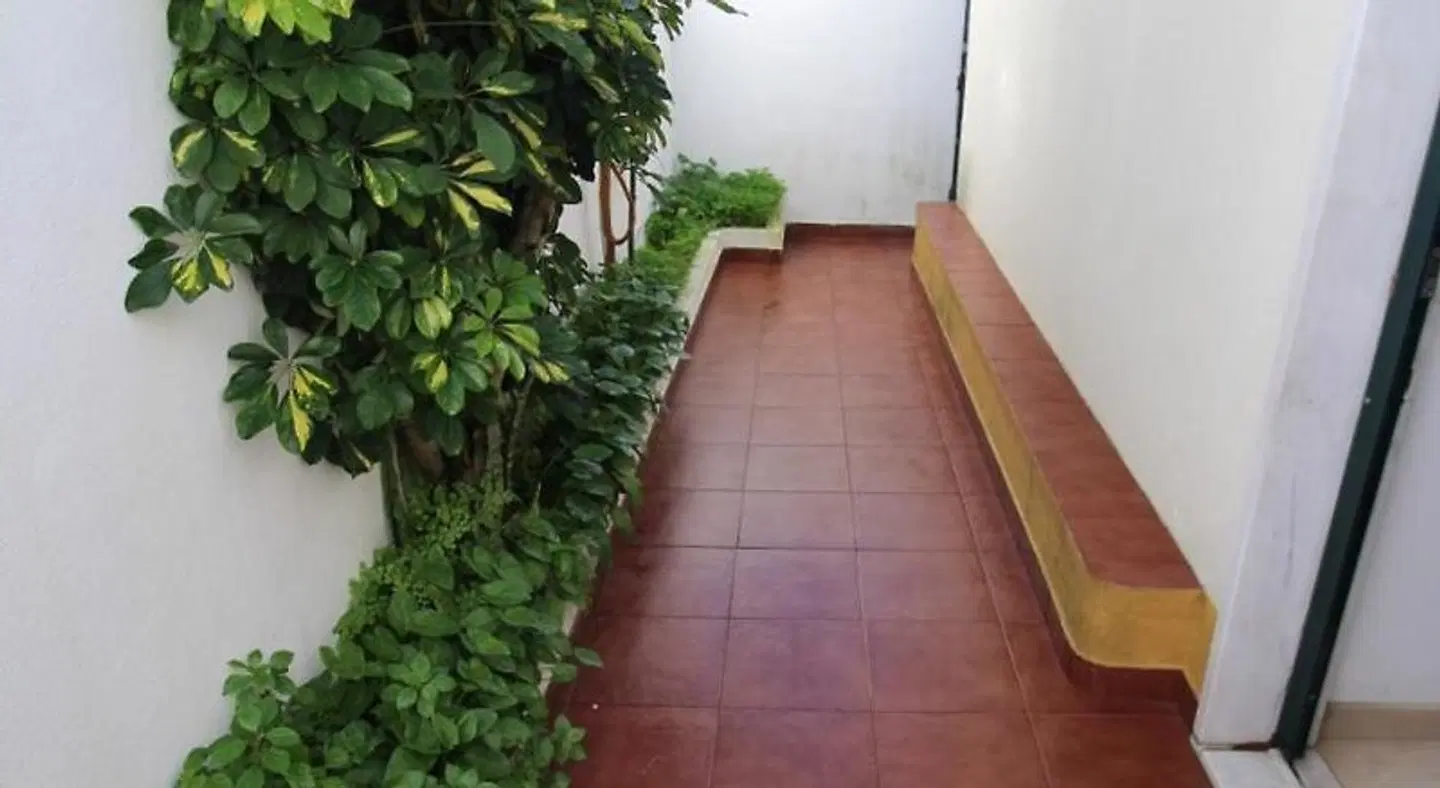 Oriente DNA Rooms Garten