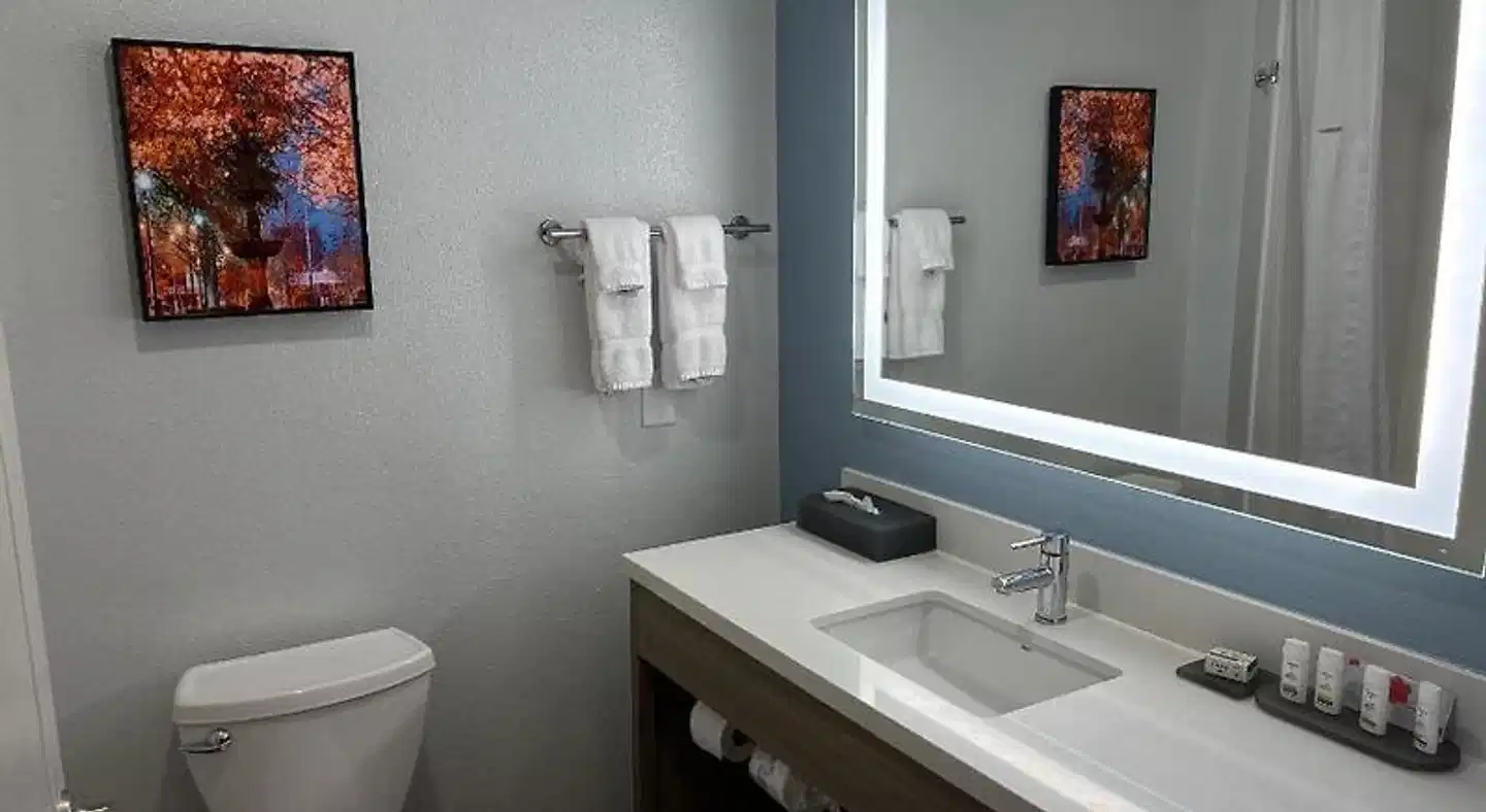 La Quinta Inn & Suites by Wyndham Macon West Badezimmer