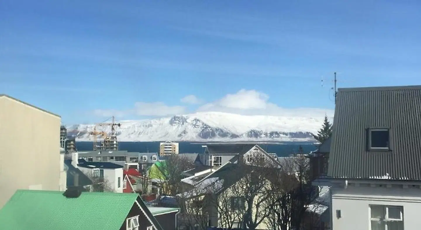 Leifur Eiriksson LANDSCAPE